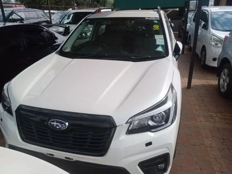 Subaru Forester   - 2019