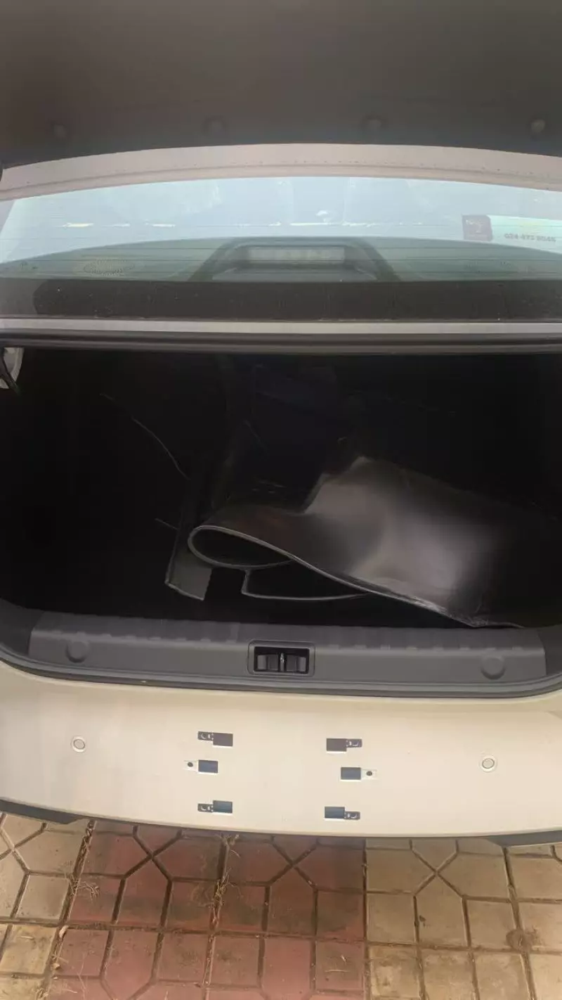 DONGFENG SHINE   - 2025