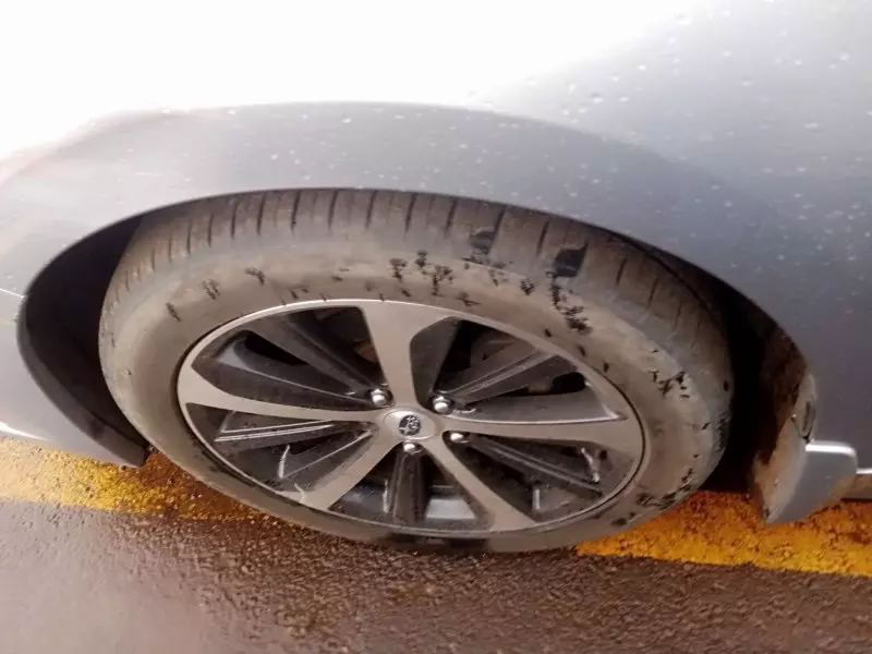 Subaru Legacy B4   - 2014