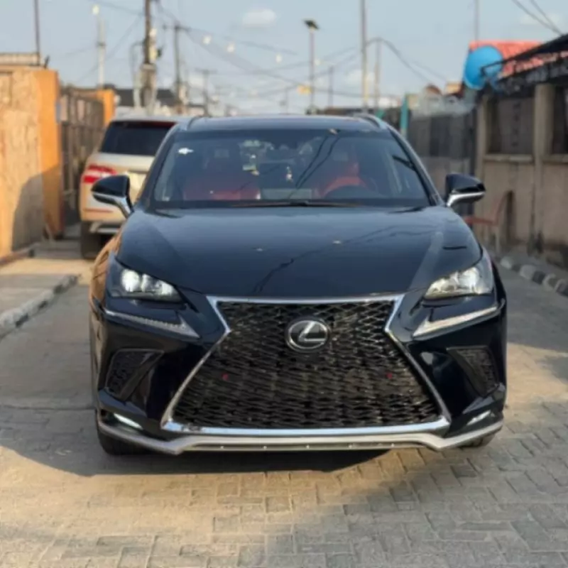 Lexus NX   - 2020