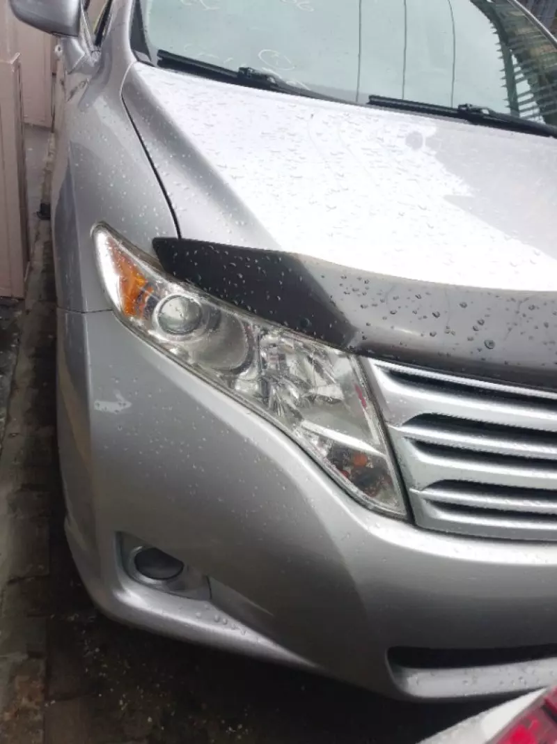 Toyota Venza - 2010