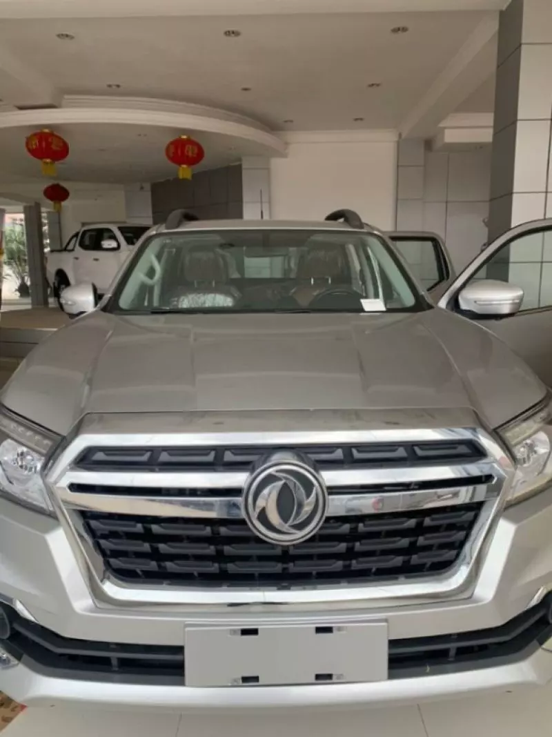 DONGFENG RICH   - 2025