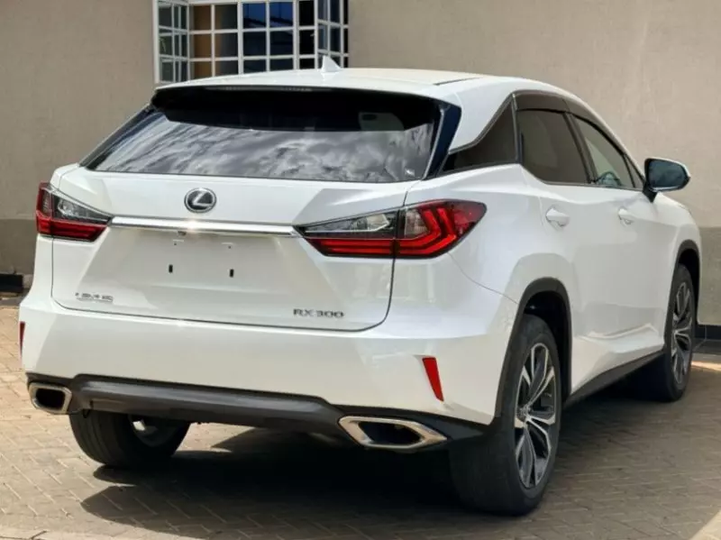 Lexus RX 300   - 2019