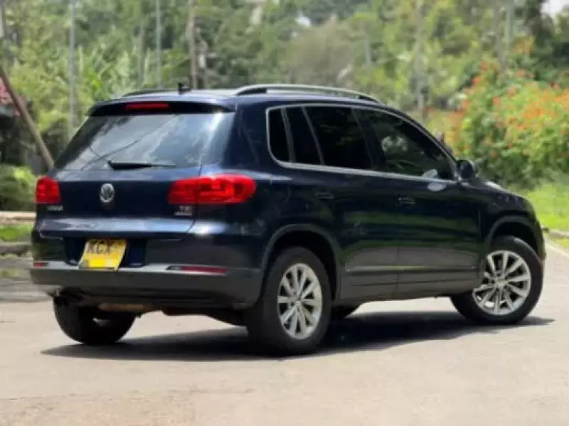 Volkswagen Tiguan   - 2014