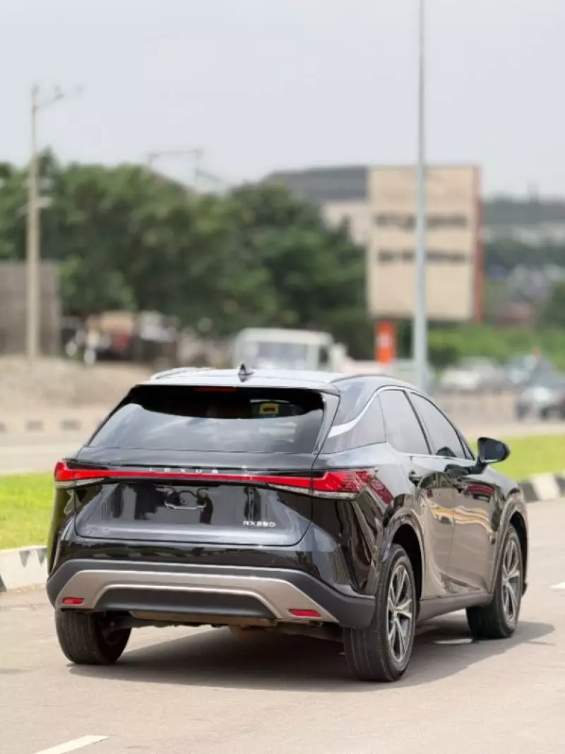 Lexus RX   - 2024