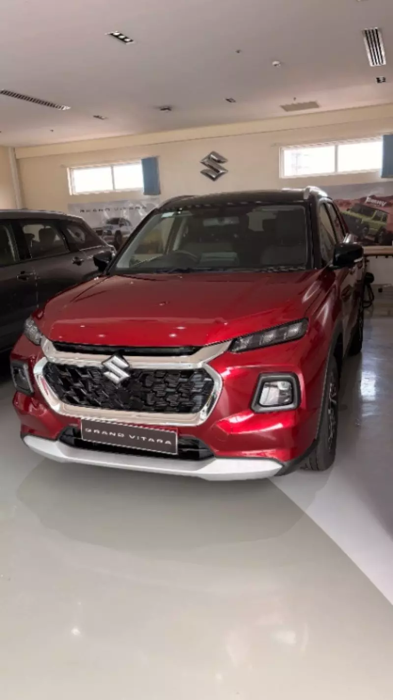 SUZUKI Grand Vitara - 2025