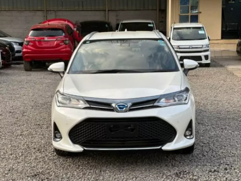 Toyota Fielder    - 2019