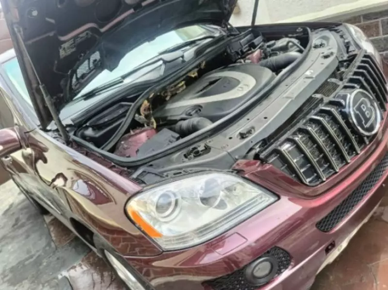 Mercedes-Benz ML 350   - 2008