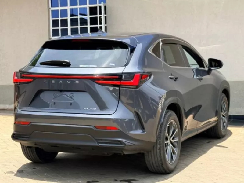 Lexus NX 200T - 2022