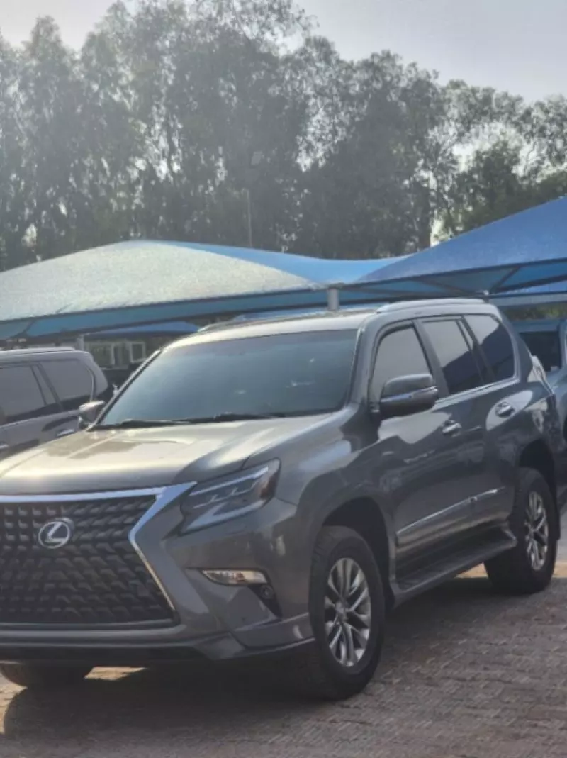 Lexus GX 460   - 2019