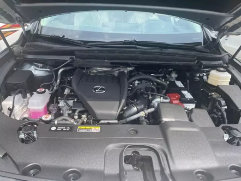 Lexus RX 350   - 2024