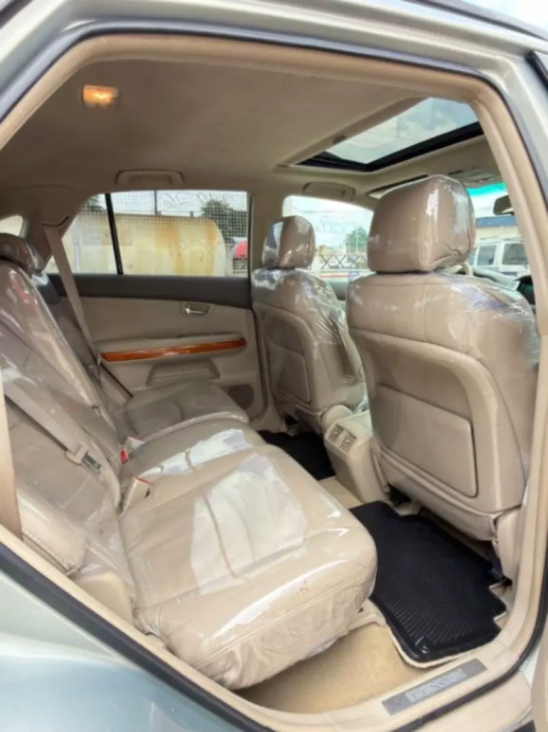 Lexus RX - 2009