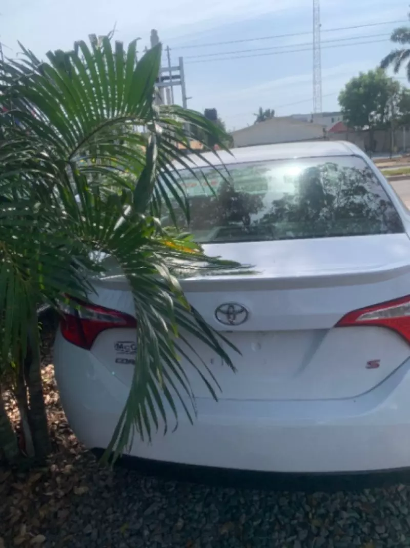 TOYOTA Corolla Sport - 2016