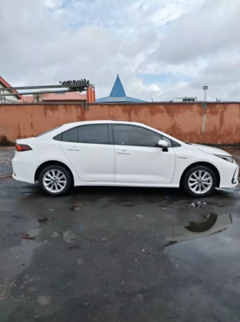 Toyota Corolla   - 2019