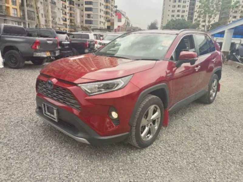 TOYOTA RAV4   - 2019