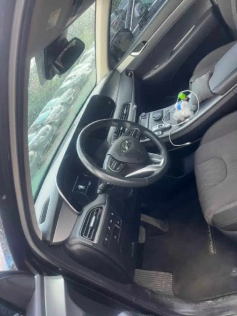 Hyundai Palisade   - 2019