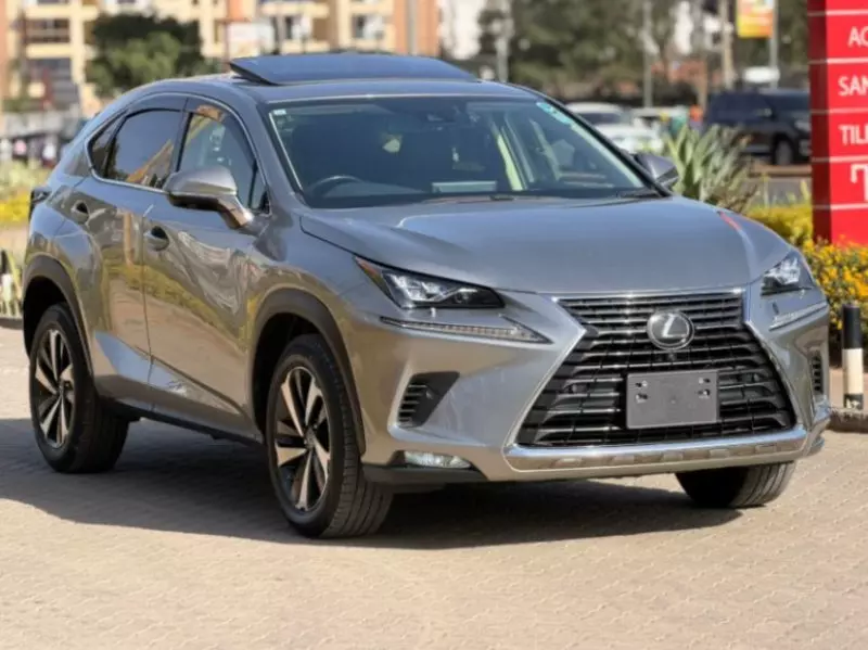 Lexus NX 300   - 2019