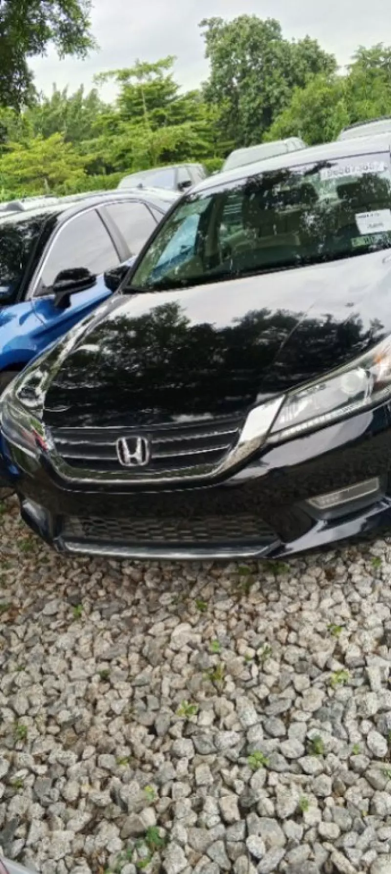 Honda Accord   - 2013