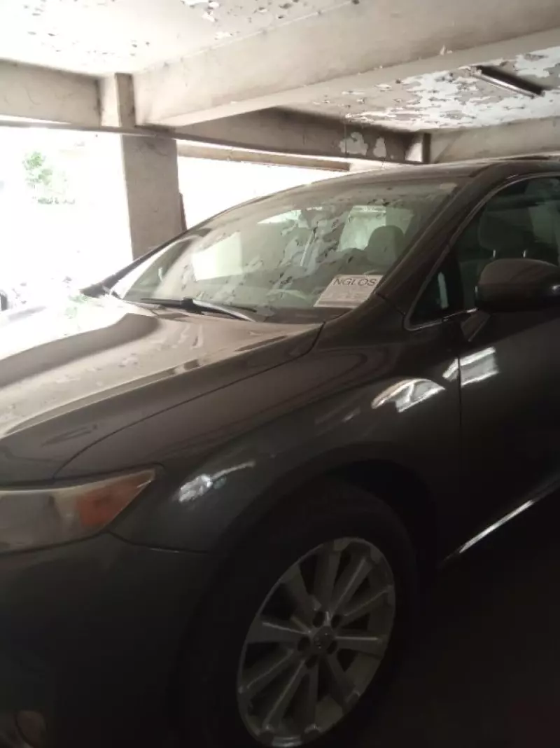 Toyota Venza   - 2010