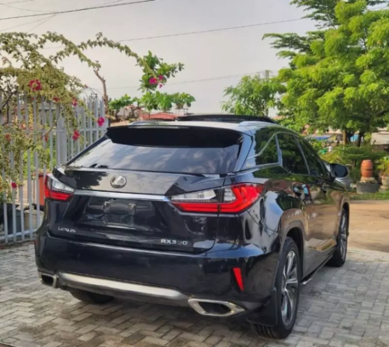 Lexus RX 300   - 2016