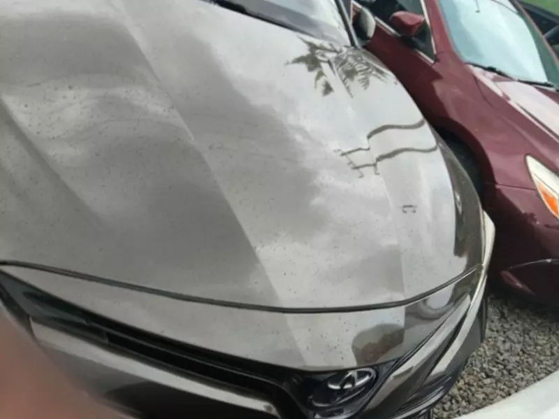 TOYOTA Camry   - 2018