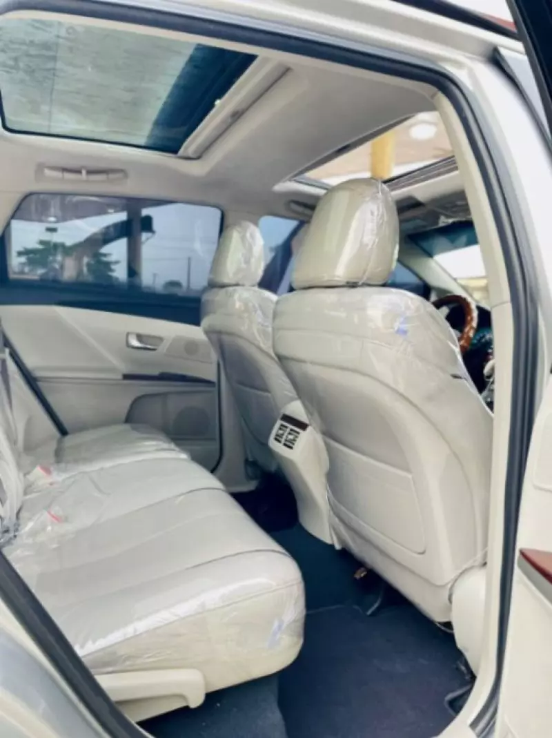 Toyota Venza - 2010