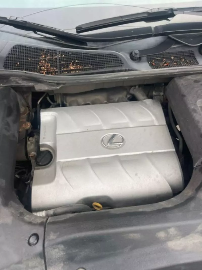 Lexus RX 350   - 2011