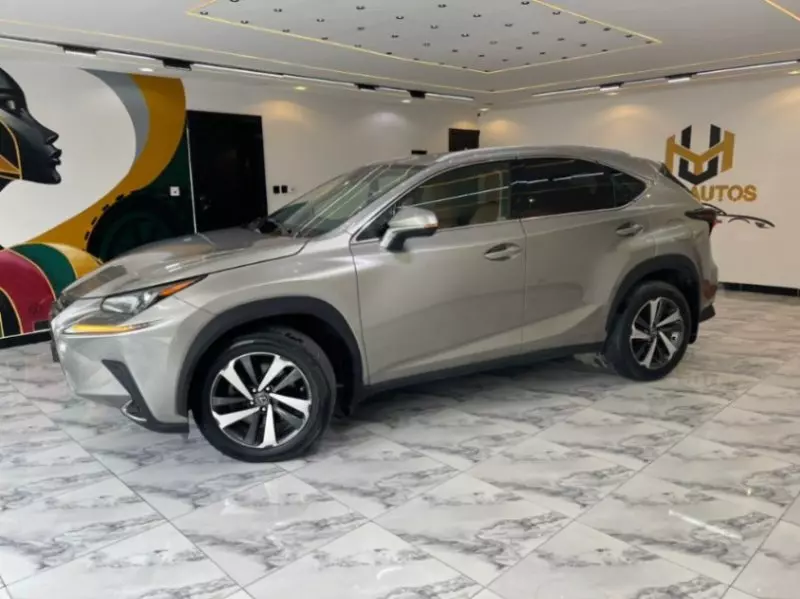 Lexus NX   - 2018