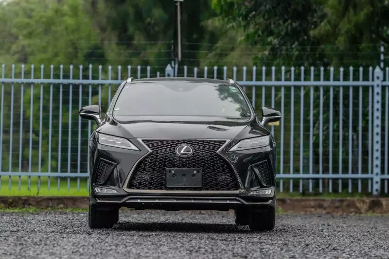 Lexus RX 300   - 2019