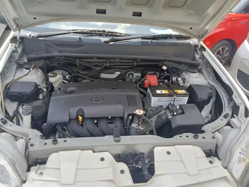TOYOTA Probox    - 2019