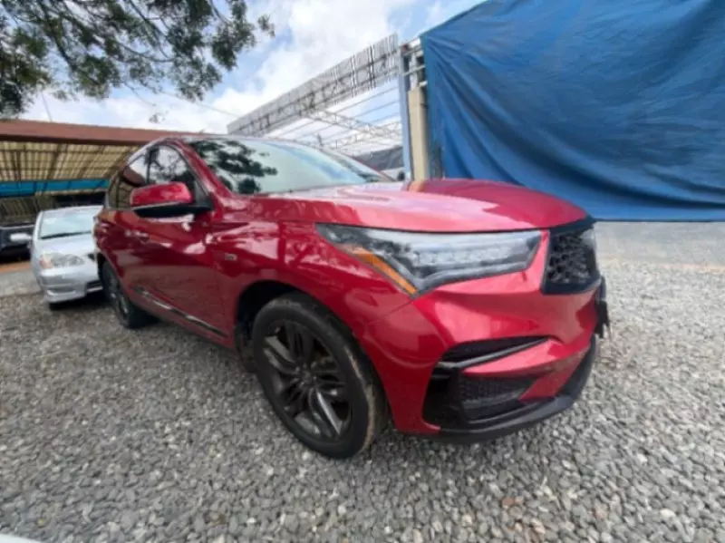 Acura RDX   - 2019