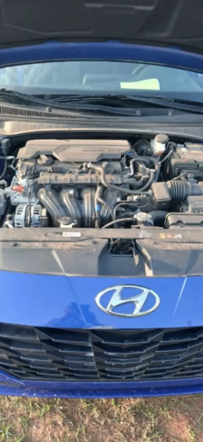 Hyundai Elantra   - 2023
