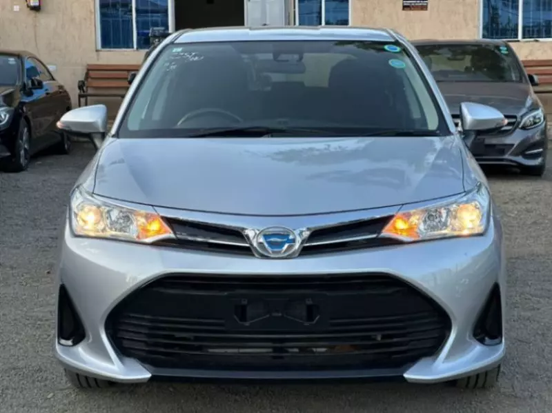 Toyota Fielder    - 2019