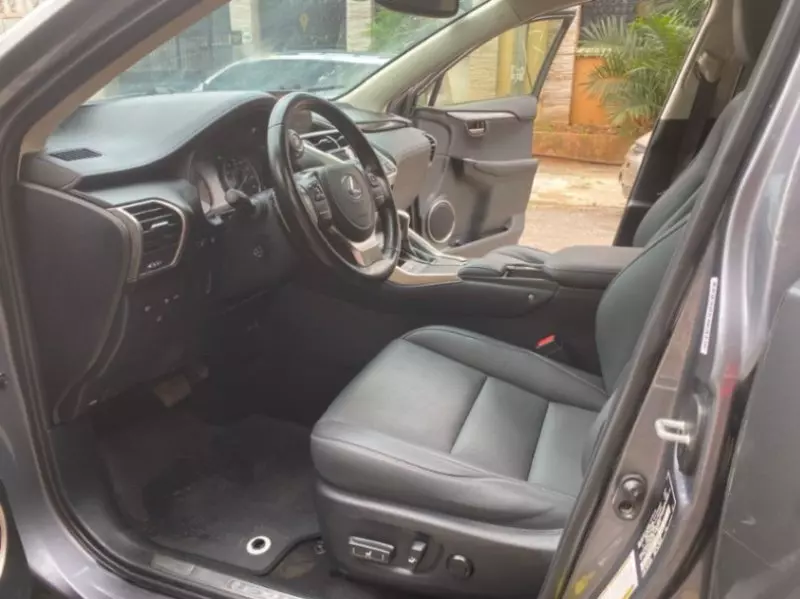 Lexus NX   - 2021