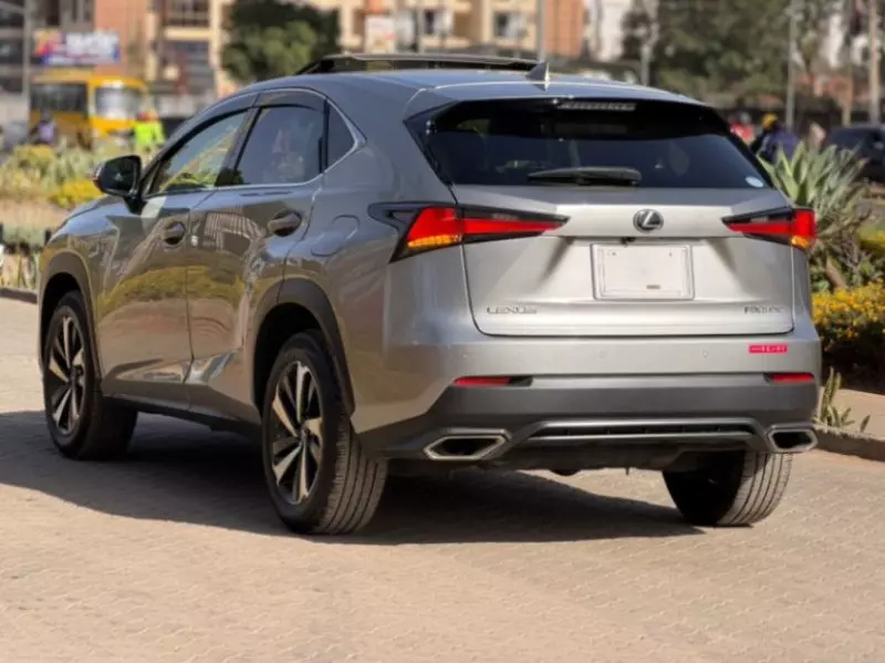 Lexus NX 300   - 2019