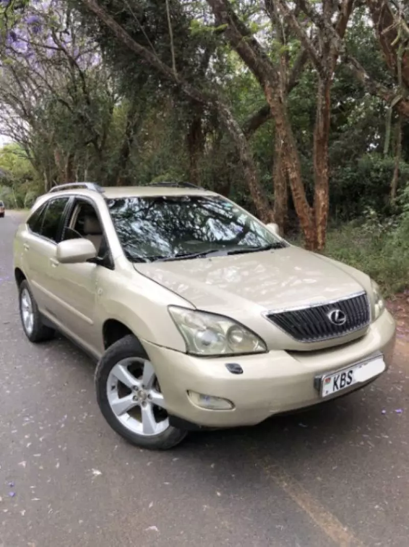 Lexus RX 300   - 2005