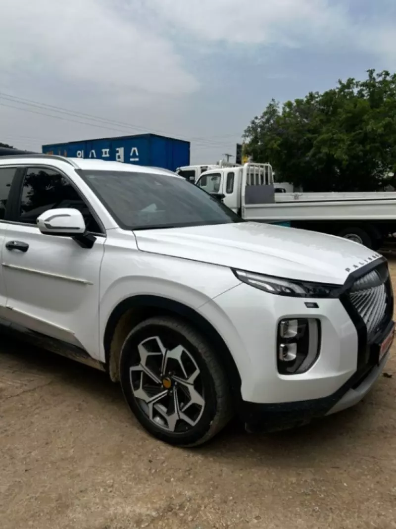 Hyundai Palisade   - 2021