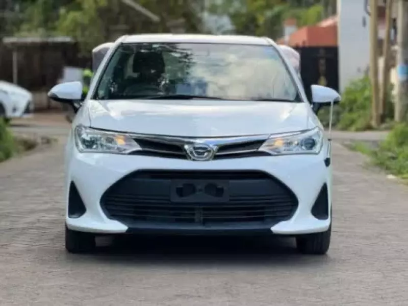 Toyota Axio    - 2019