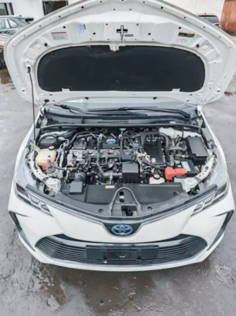 Toyota Corolla   - 2019