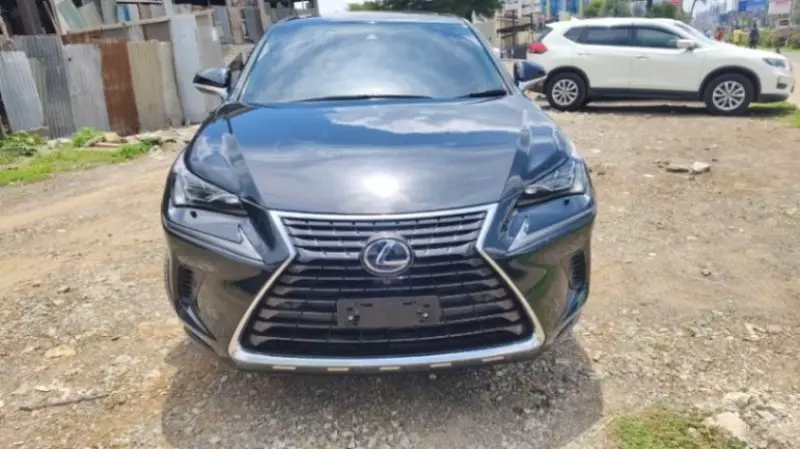 Lexus NX   - 2018