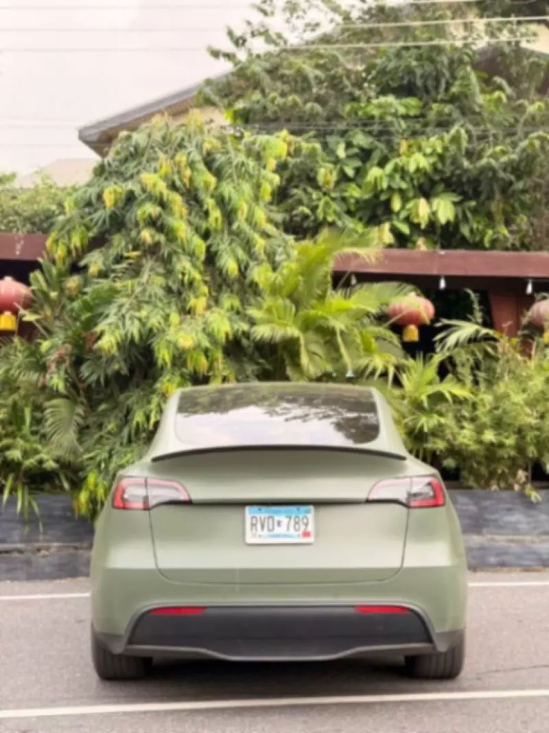 Tesla Model S   - 2022