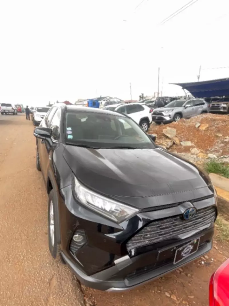 TOYOTA RAV4   - 2024