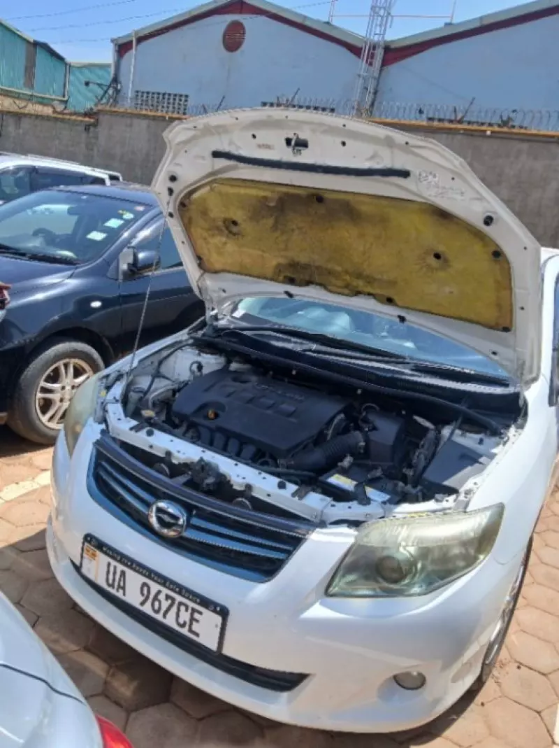 Toyota Fielder    - 2010