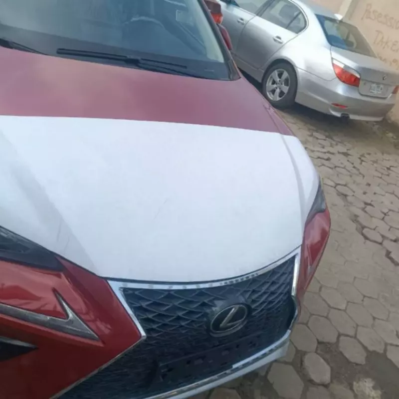 Lexus NX 300   - 2020