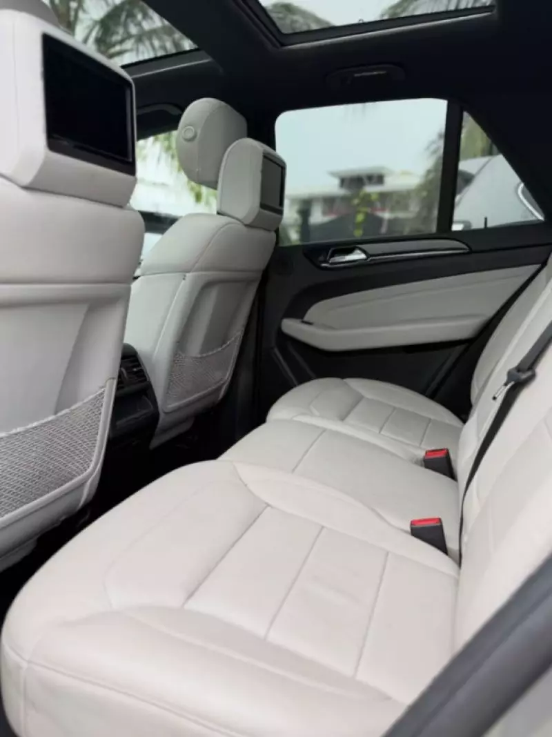 Mercedes-Benz ML 350 - 2015