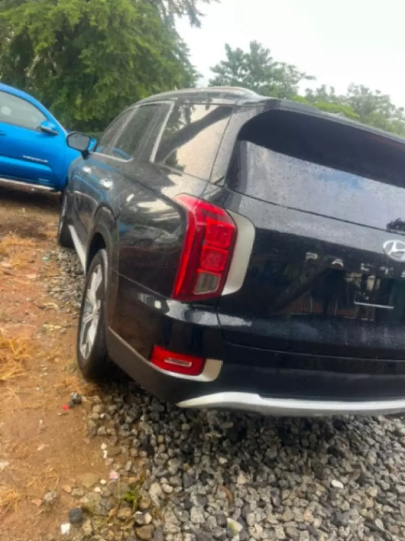 Hyundai Palisade   - 2019