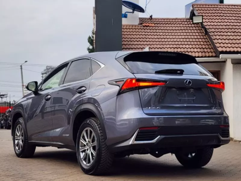 Lexus NX300h Hybrid   - 2019