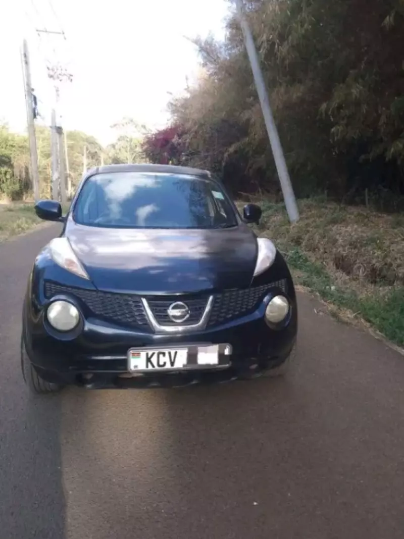 Nissan Juke   - 2011