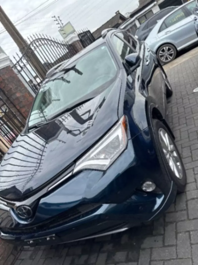 Toyota RAV 4   - 2017