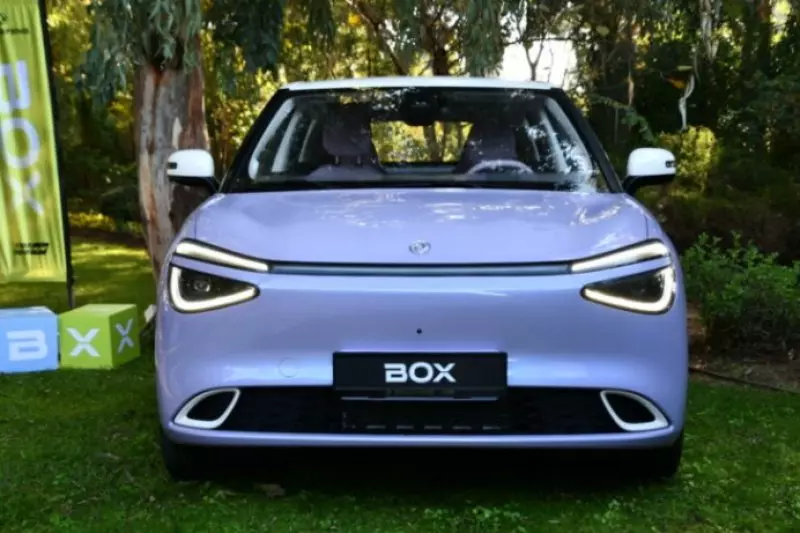 DONGFENG BOX ONDULE 2T - 2025